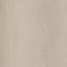 Amtico Spacia White Maple SS5W2654